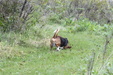 Enlarge photo 22
