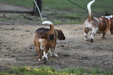 Enlarge photo 41
