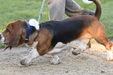 Enlarge photo 38