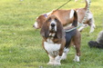 Enlarge photo 36