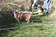 Enlarge photo 30