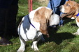 Enlarge photo 15
