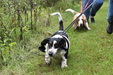 Enlarge photo 22