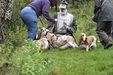 Enlarge photo 2