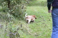 Enlarge photo 30