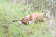 Enlarge photo 25