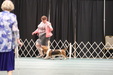 Enlarge photo 58