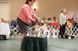 Enlarge photo 50