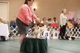 Enlarge photo 49
