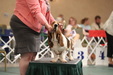 Enlarge photo 44