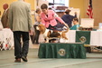 Enlarge photo 58