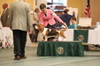 Enlarge photo 55