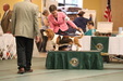 Enlarge photo 54
