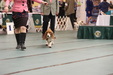 Enlarge photo 51