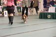 Enlarge photo 50