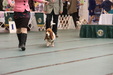 Enlarge photo 49