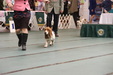 Enlarge photo 48