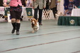 Enlarge photo 47
