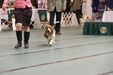 Enlarge photo 46