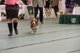 Enlarge photo 42