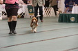 Enlarge photo 41