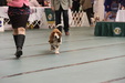Enlarge photo 40
