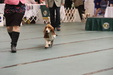 Enlarge photo 38