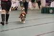Enlarge photo 35