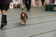 Enlarge photo 29