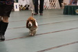 Enlarge photo 27