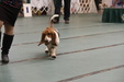 Enlarge photo 26