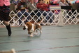 Futurity