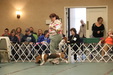 Enlarge photo 92