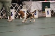 Enlarge photo 91
