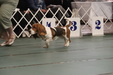 Enlarge photo 85