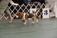 Enlarge photo 84