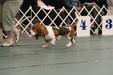 Enlarge photo 82