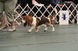 Enlarge photo 81