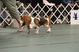 Enlarge photo 79
