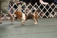 Enlarge photo 77