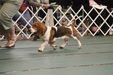 Enlarge photo 76