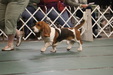 Enlarge photo 72
