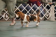 Enlarge photo 71