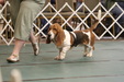 Enlarge photo 63
