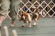 Enlarge photo 61
