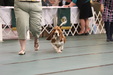 Enlarge photo 49