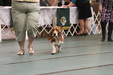 Enlarge photo 48