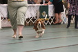 Enlarge photo 46