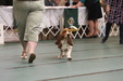 Enlarge photo 47