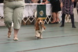 Enlarge photo 44